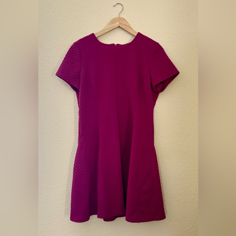 Ronni Nicole Fuchsia Mini Dress